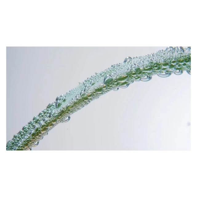Close-up of a green plant stem covered in water droplets against a light grey background, creating a fresh and clean aesthetic.