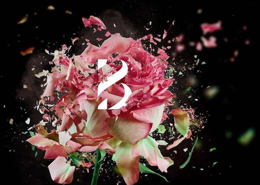Dramatic image of a pink rose decomposing into shards of its petals against a stark black background, stylized with a white number.
