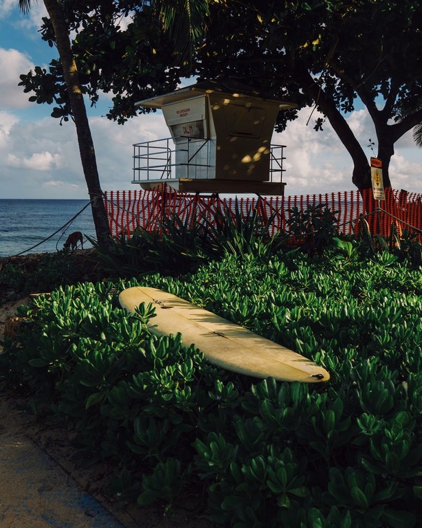 Coastal scene featuring a surfboard resting in lush green vegetation, with a lifeguard tower and the ocean visible in the background.