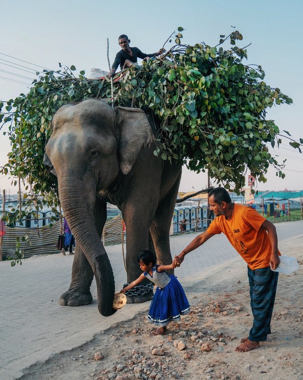 Elephant carrying branches, ridden by boy, led by adult male, and approached by a child on a dirt road in a rural setting.