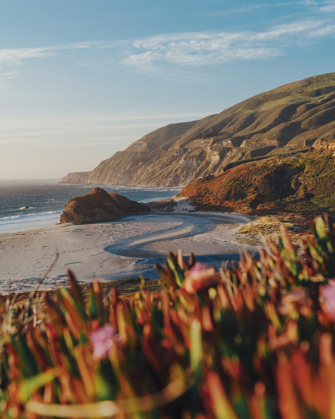 Scenic view of California coastline with sandy beach, mountains, and ocean waves under a blue sky. Green and red foliage in foreground.
