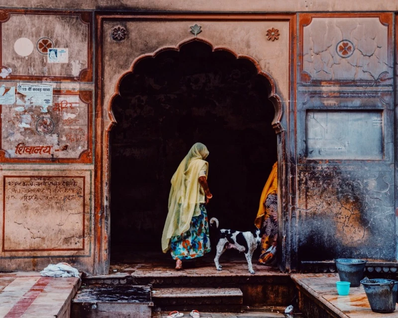 Woman in traditional Indian dress walks with a dog through the ornate archway of an ancient building, with bucket and steps.