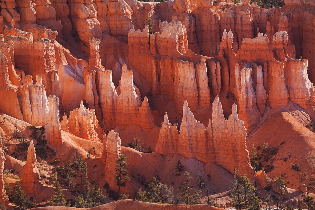 Majestic view of the Bryce Canyon rock formations, showcasing its unique hoodoos, trees, and warm color palette on a clear day.