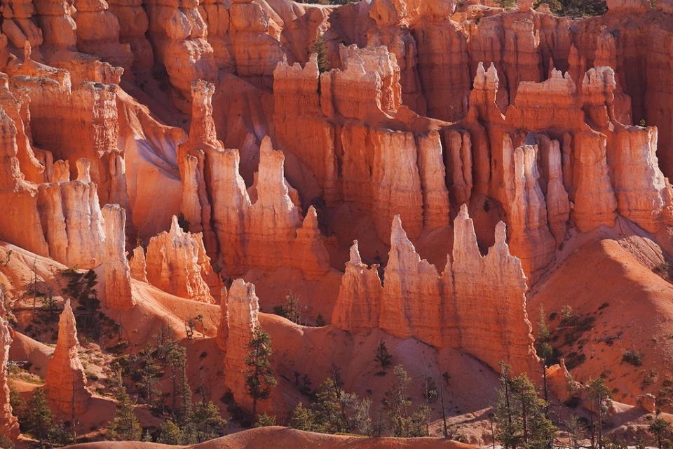 Majestic view of the Bryce Canyon rock formations, showcasing its unique hoodoos, trees, and warm color palette on a clear day.