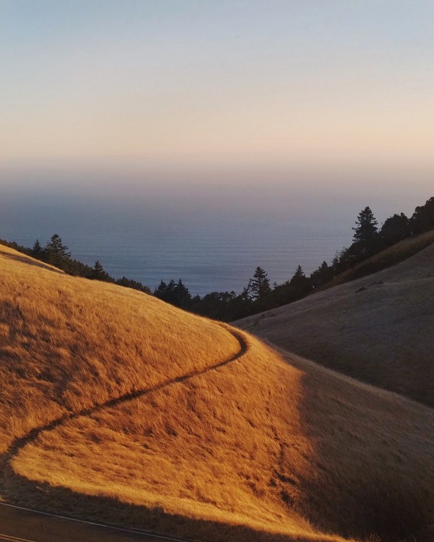 Golden grassy hills meeting the ocean under a pastel sky. Serene landscape with a winding path, trees, and a tranquil view.