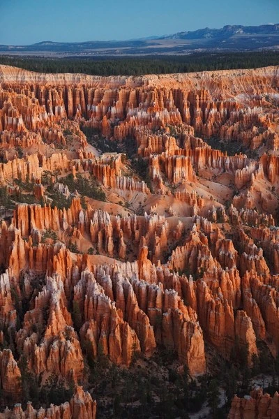 Bryce Canyon National Park aerial view featuring striking red rock formations, trees, and a clear blue sky offering a captivating landscape.