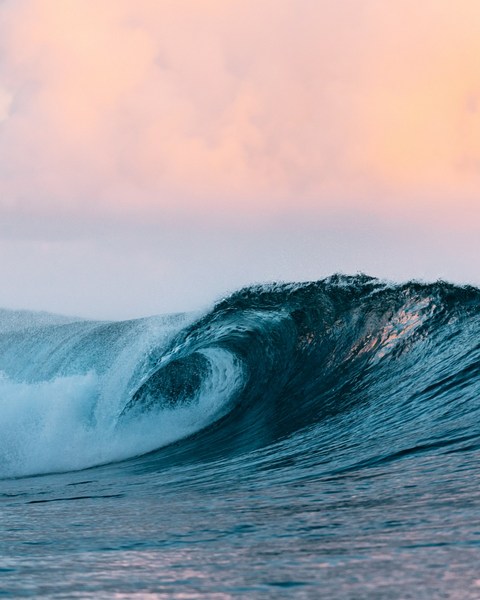 A powerful ocean wave curls beneath a pastel sky, showcasing its deep blue hues and dynamic movement in a natural setting.
