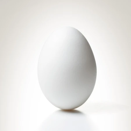 Raita Nakaseko