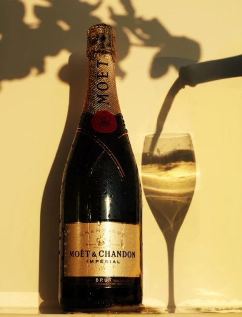 Elegant still life shot of a champagne bottle and glass, with leaf shadows creating a natural, celebratory aesthetic.