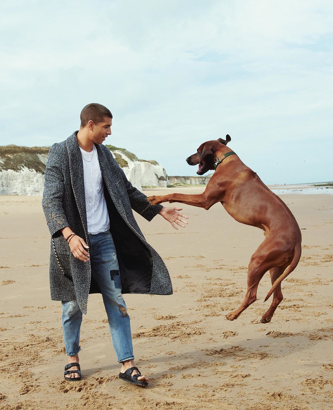 A man in a coat reaches out to a leaping dog on a sandy beach with white cliffs in the background, capturing a playful moment.