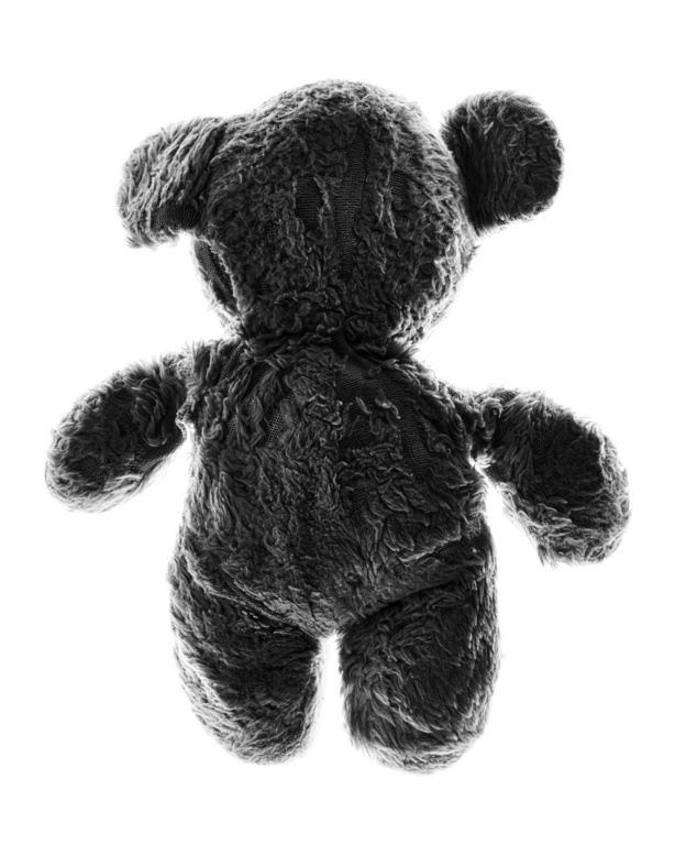Back view of a dark brown, fuzzy teddy bear isolated on a white background. The teddy bear is positioned in the center of the shot.