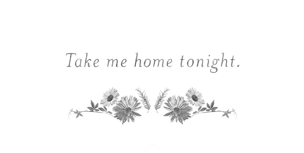 Stylized graphic design featuring the text “Take me home tonight” with floral embellishments and a clean, bright background.