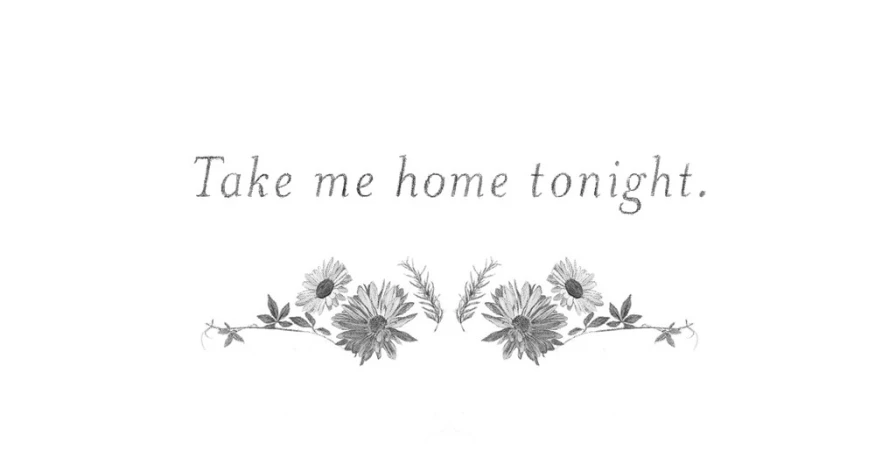 Stylized graphic design featuring the text “Take me home tonight” with floral embellishments and a clean, bright background.