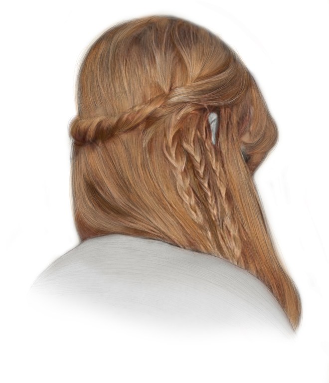 Illustration of the back of a person's head with long, light brown hair styled with a twisted braid and multiple smaller braids.