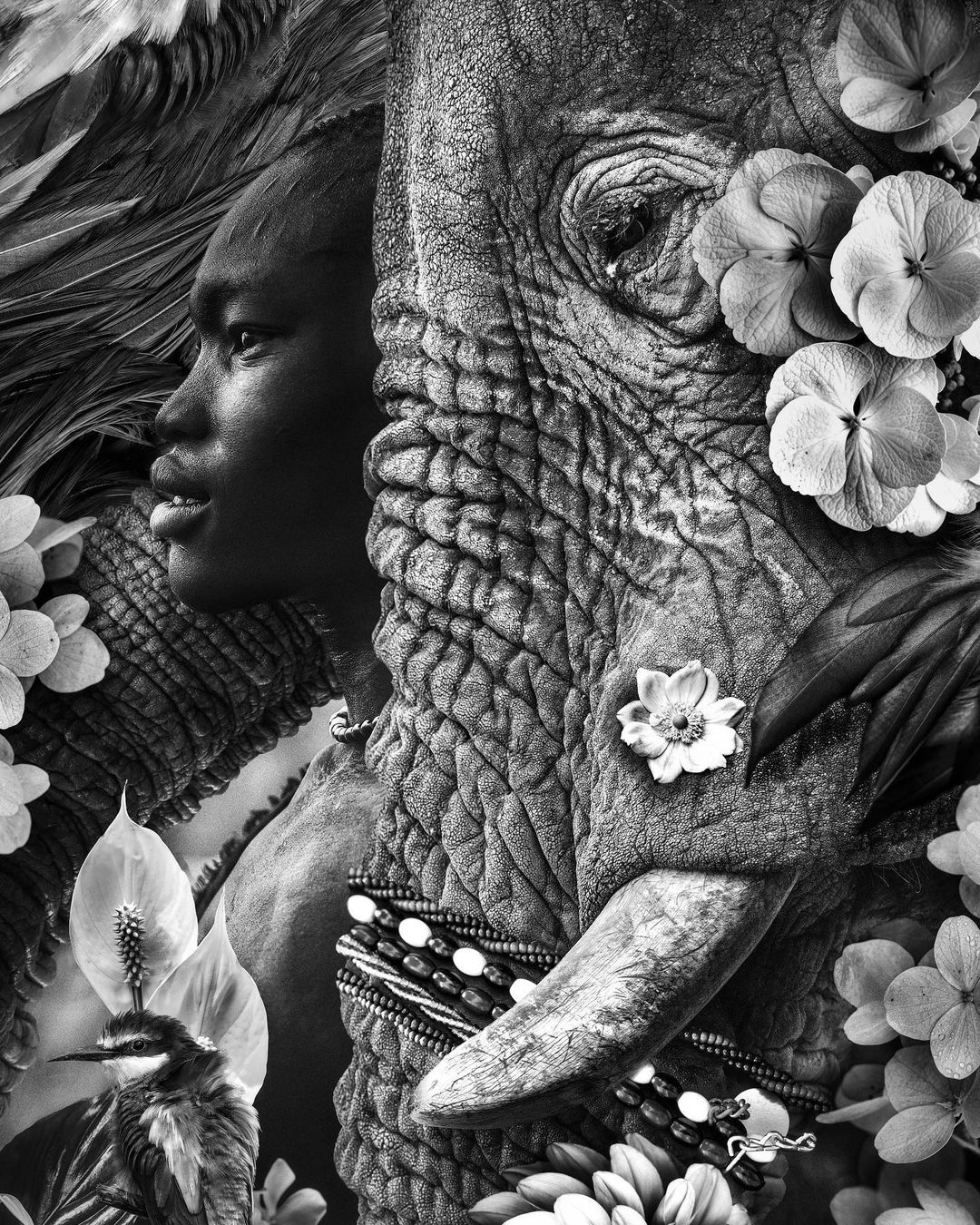 Monochrome composite of an African woman's profile adjoined with an elephant's head and tusk, surrounded by flowers, feathers, and a small bird.