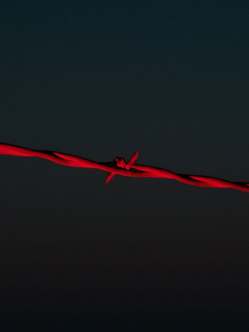 Close-up photo of a red barbed wire strand against a dark gradient backdrop with soft lighting and muted color palette.