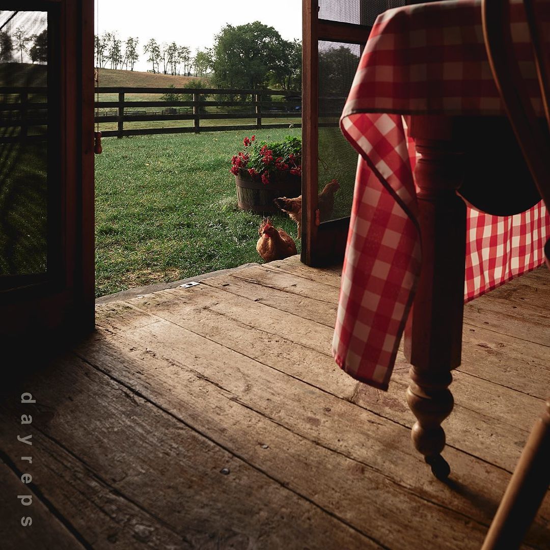 Table set on wooden porch overlooking grassy field with grazing chickens, red geraniums, and a distant tree line.