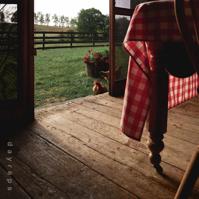 Table set on wooden porch overlooking grassy field with grazing chickens, red geraniums, and a distant tree line.
