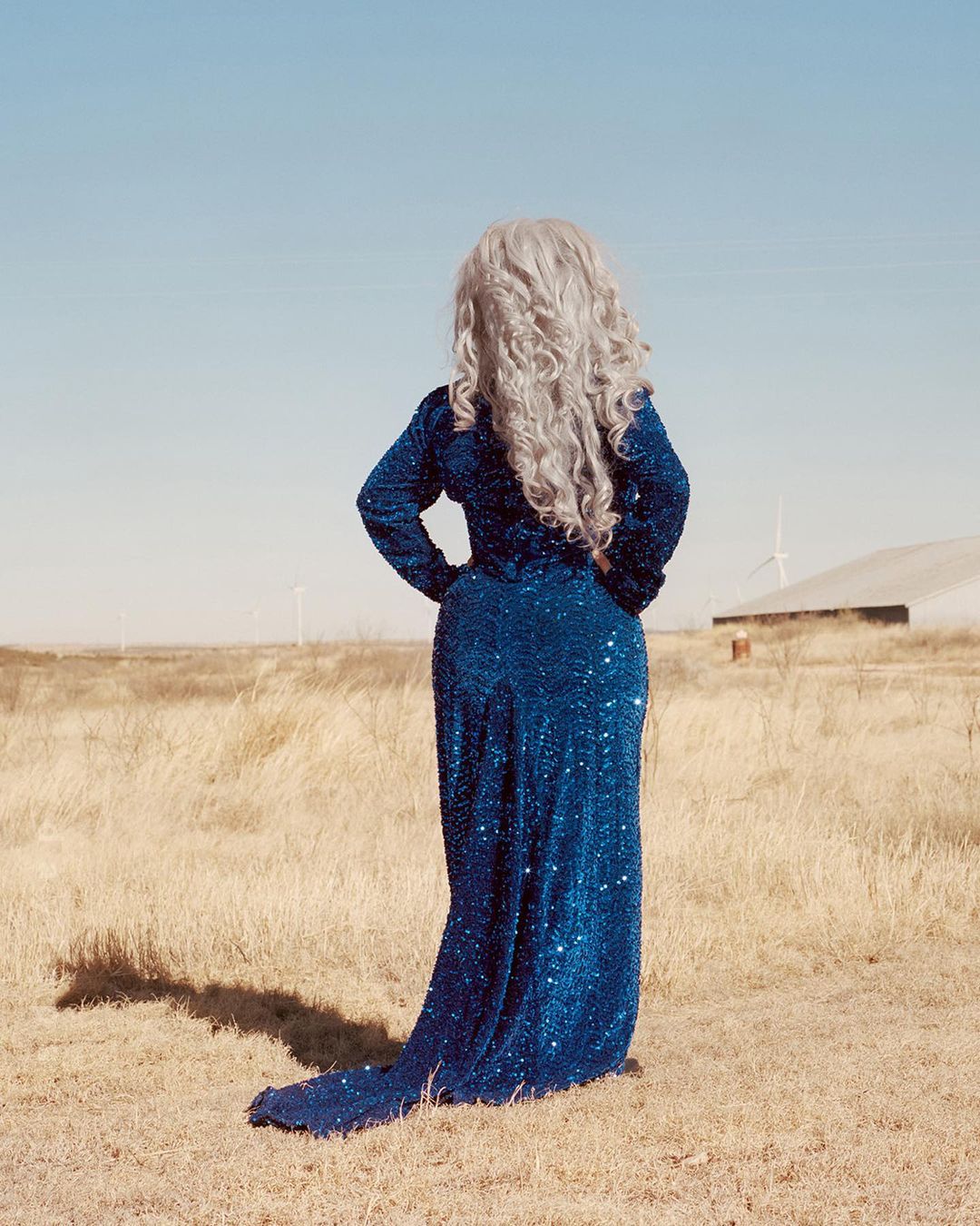 Adult female with wavy gray hair wears a sparkly blue gown standing in a grassy field near a building and wind turbines against a blue sky.