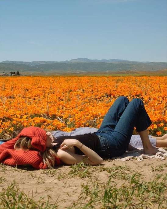Two people lying in a field of orange wildflowers under a clear blue sky, with rolling hills in the background. Relaxing outdoor scene.