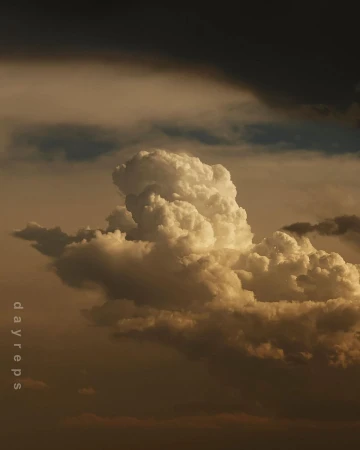 Dramatic cumulus clouds fill the frame in this low-angle shot, displaying a range of gold and gray tones against a darkened sky.