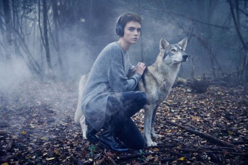 Woman with headphones crouches next to a wolf in a misty forest, surrounded by fallen leaves and bare trees, creating a serene scene.