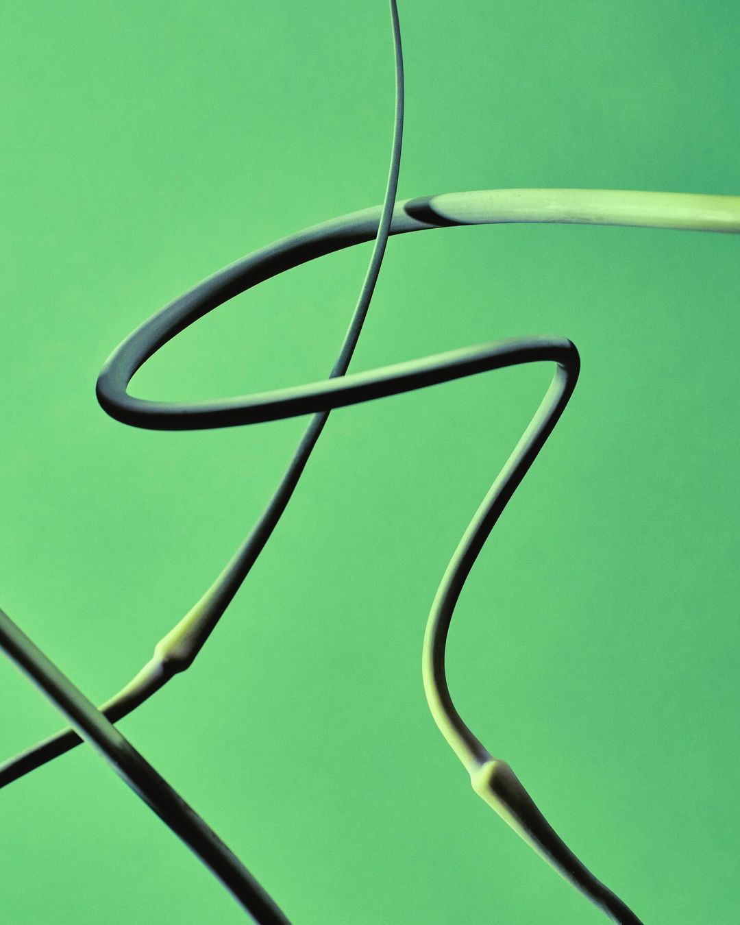 Overlapping and curving garlic scapes against a solid green backdrop. Abstract botanical imagery highlights their unique shapes and textures.