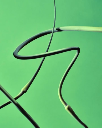 Overlapping and curving garlic scapes against a solid green backdrop. Abstract botanical imagery highlights their unique shapes and textures.