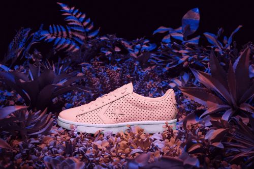 Close-up of a light pink Converse sneaker with a white sole, surrounded by leafy vegetation against a dark background.