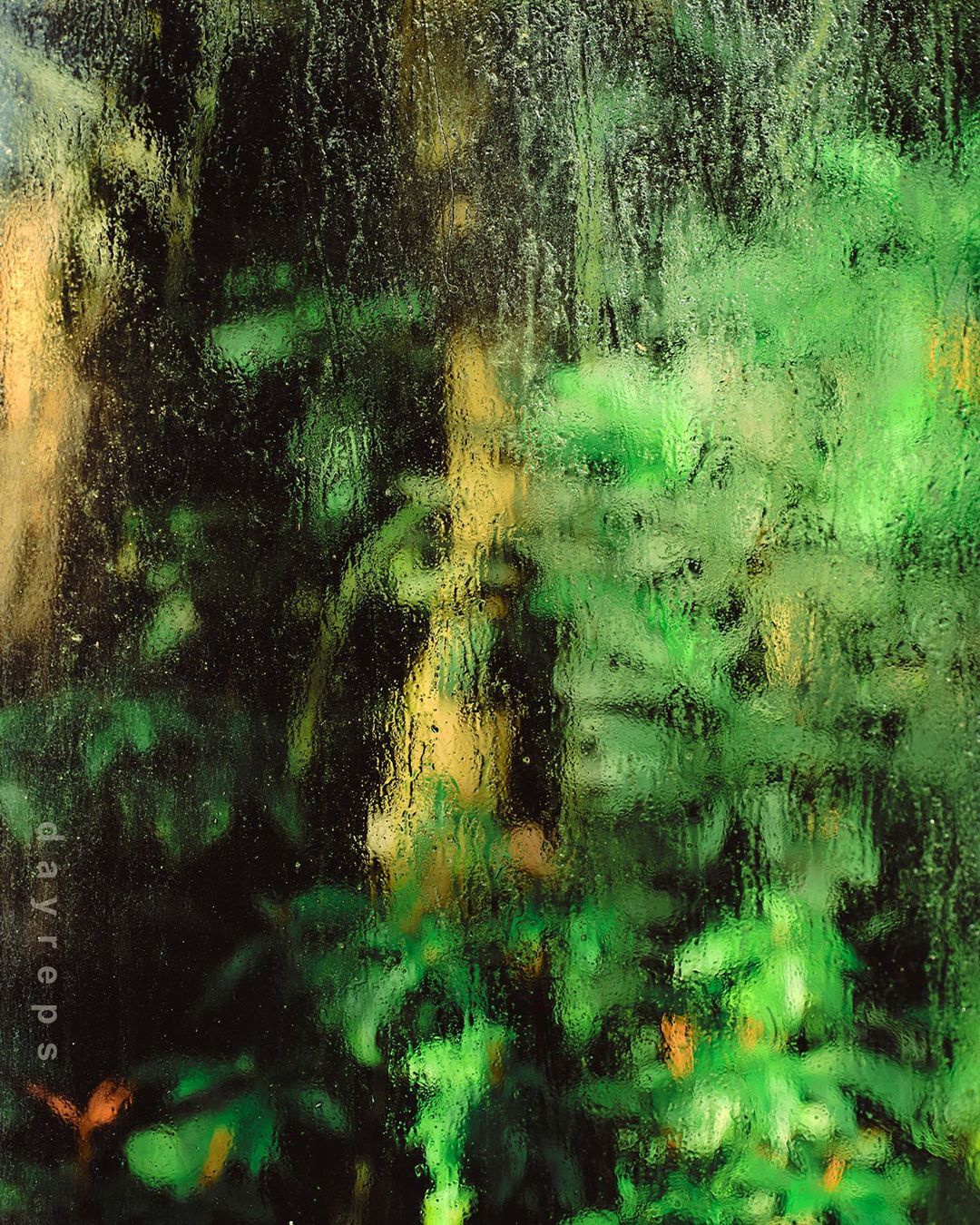 Close-up of rain-streaked window with blurred greenery. Water droplets obscure a garden view, with vibrant green hues and muted sunlight.