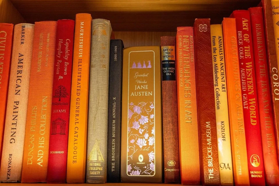 A shelf filled with colorful books of art, literature, and history, stacked tightly in a wooden bookshelf, creating a rich, textured display.