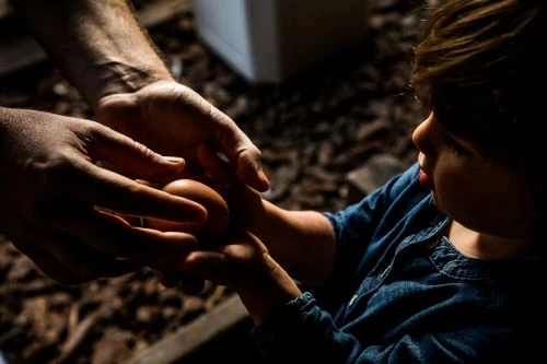 Close-up of an adult and child's hands holding a single brown egg. Low-key lighting creates a warm, intimate moment.