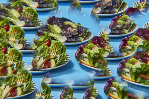 Numerous plates of colorful salads with fresh greens, tomatoes, and cucumbers arranged on a vibrant blue background, shot with creative repetition.