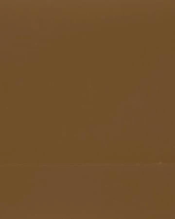 Minimalist background with a flat, even, monochromatic brown surface, creating a simple and neutral visual plane with subtle textures.