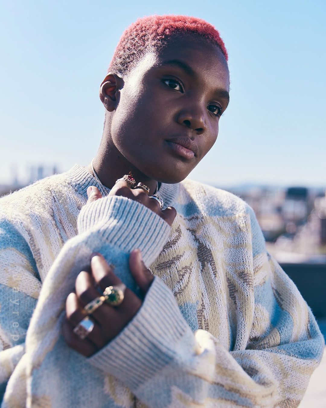 Portrait of a person with short dyed pink hair wearing a textured patterned sweater and several rings by photographer Koury Angelo