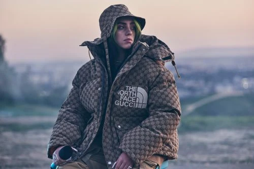 Billie Eilish wearing a Gucci and The North Face monogrammed puffer jacket and bucket hat sits outside against a blurred landscape.