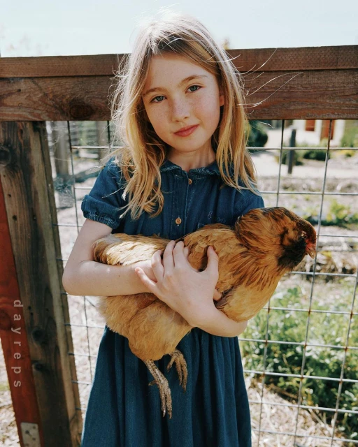A young girl with blonde hair holds a brown hen in her arms outside on a sunny day, with a blurred background of greenery and a wooden fence.