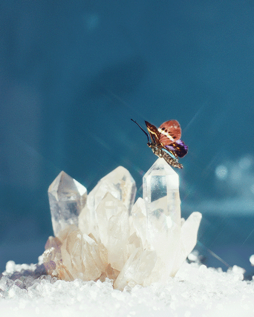 Butterfly perched on quartz crystal cluster against blue background with ethereal lighting, creating a sense of natural beauty and wonder.