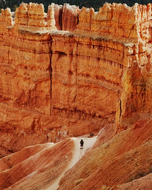Scenic view of Bryce Canyon with a person walking along a path, showcasing the canyon's unique rock formations and warm color palette.