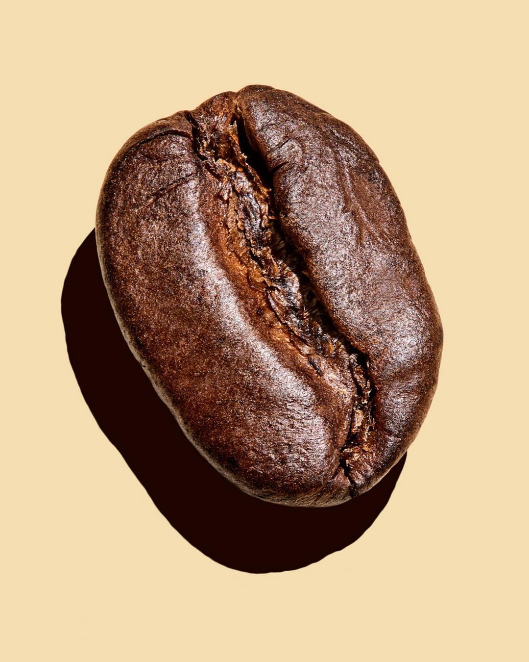 Roasted coffee bean against a light beige backdrop, capturing intricate details and warm, inviting tones, creating a minimalist aesthetic.