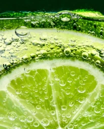 Macro view of lime slices submerged in carbonated water with sparkling bubbles clinging to the green citrus flesh and rind.