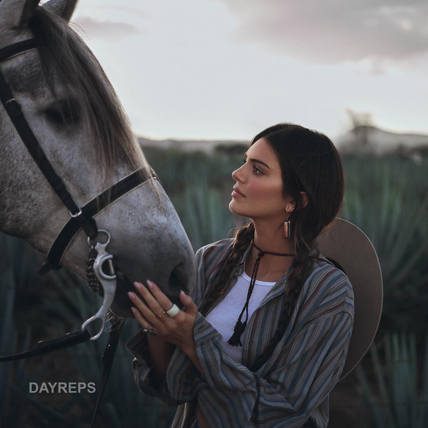 Woman poses with a gray horse outdoors in a rural landscape at dusk, wearing a western hat and striped shirt, near lush vegetation.