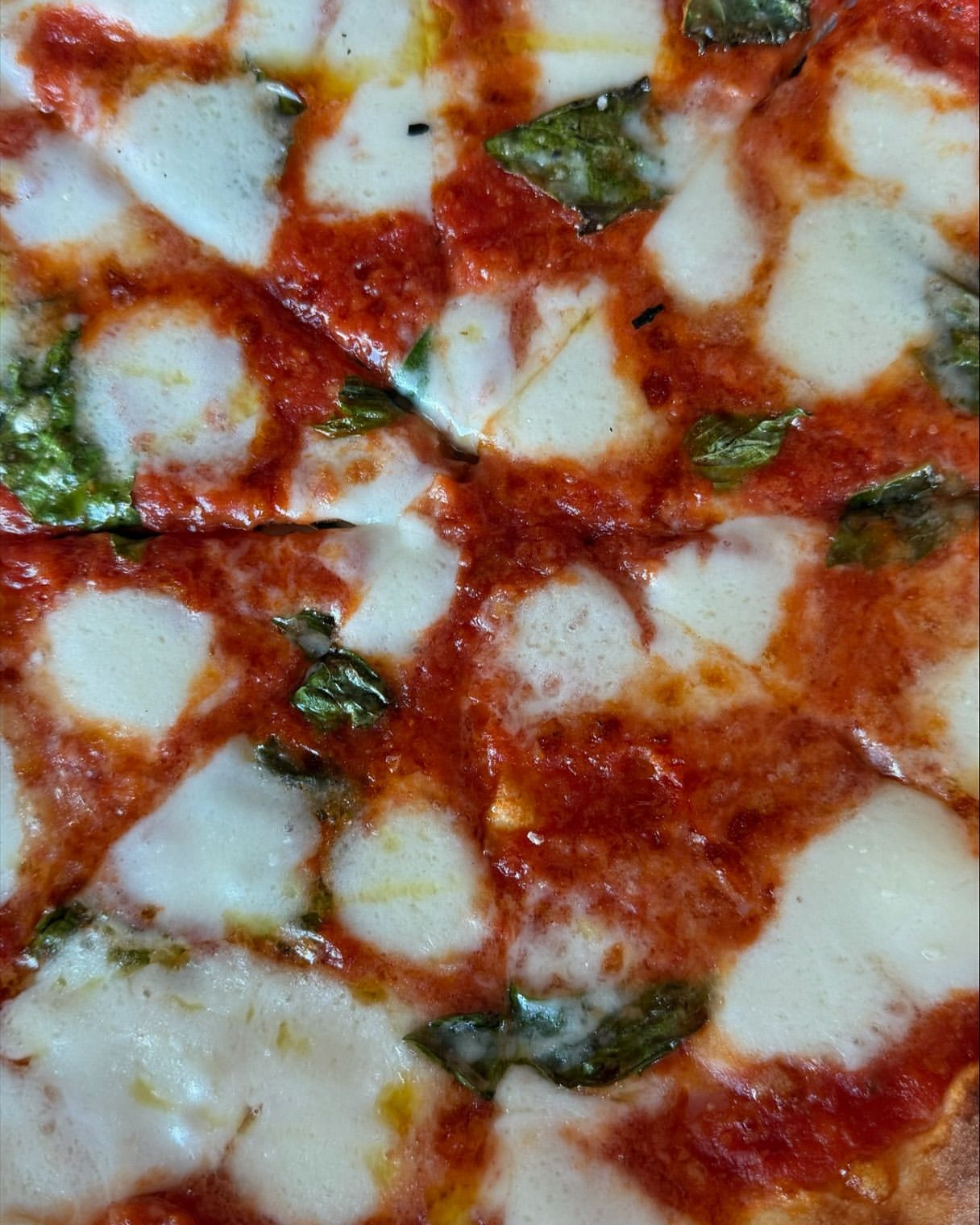 Close-up of a pizza with red sauce, mozzarella cheese, and basil, showcasing its fresh ingredients and vibrant colors.