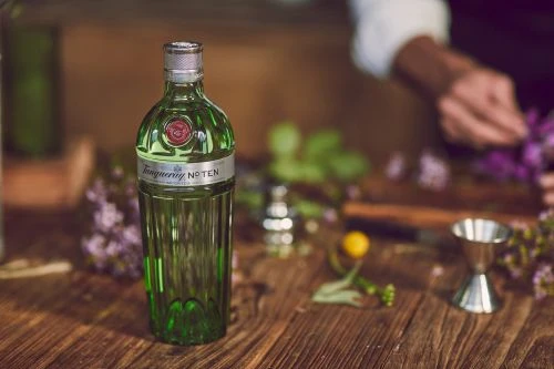Tanqueray No. TEN gin bottle on a wood table with greenery and mixology tools, suggesting a premium cocktail or beverage preparation.