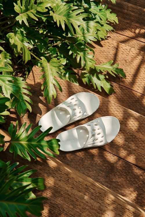 A pair of white sandals is showcased alongside vibrant green philodendron leaves on a warm-toned wooden surface, illuminated by sunlight.