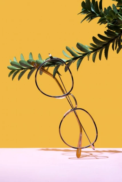 Stylish round glasses on a white surface with a green plant branch and a bright yellow background, showcasing eyewear fashion.