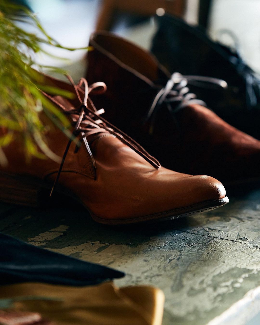 Close-up of three leather dress shoes in brown, dark brown, and black, displayed in a row. Green plant in corner adds a natural touch.