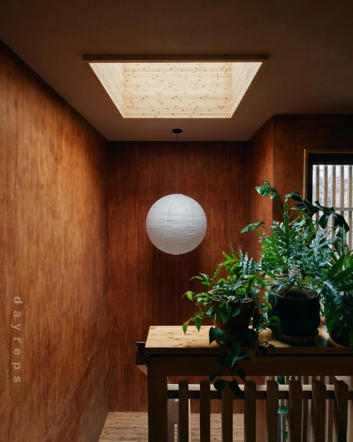 Indoor stairwell features wood paneling, a paper lantern hanging from the ceiling, and multiple potted plants, with a skylight above.