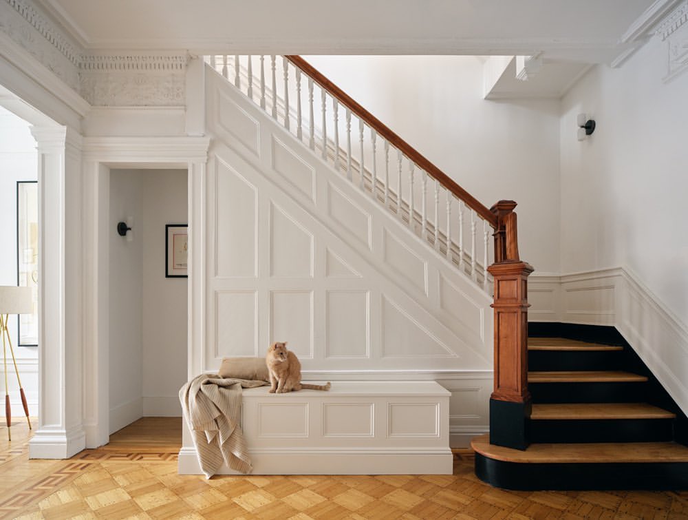 Feline sits on a cushioned bench in a bright hallway with wood floors, a staircase, and white molding details in a home interior.