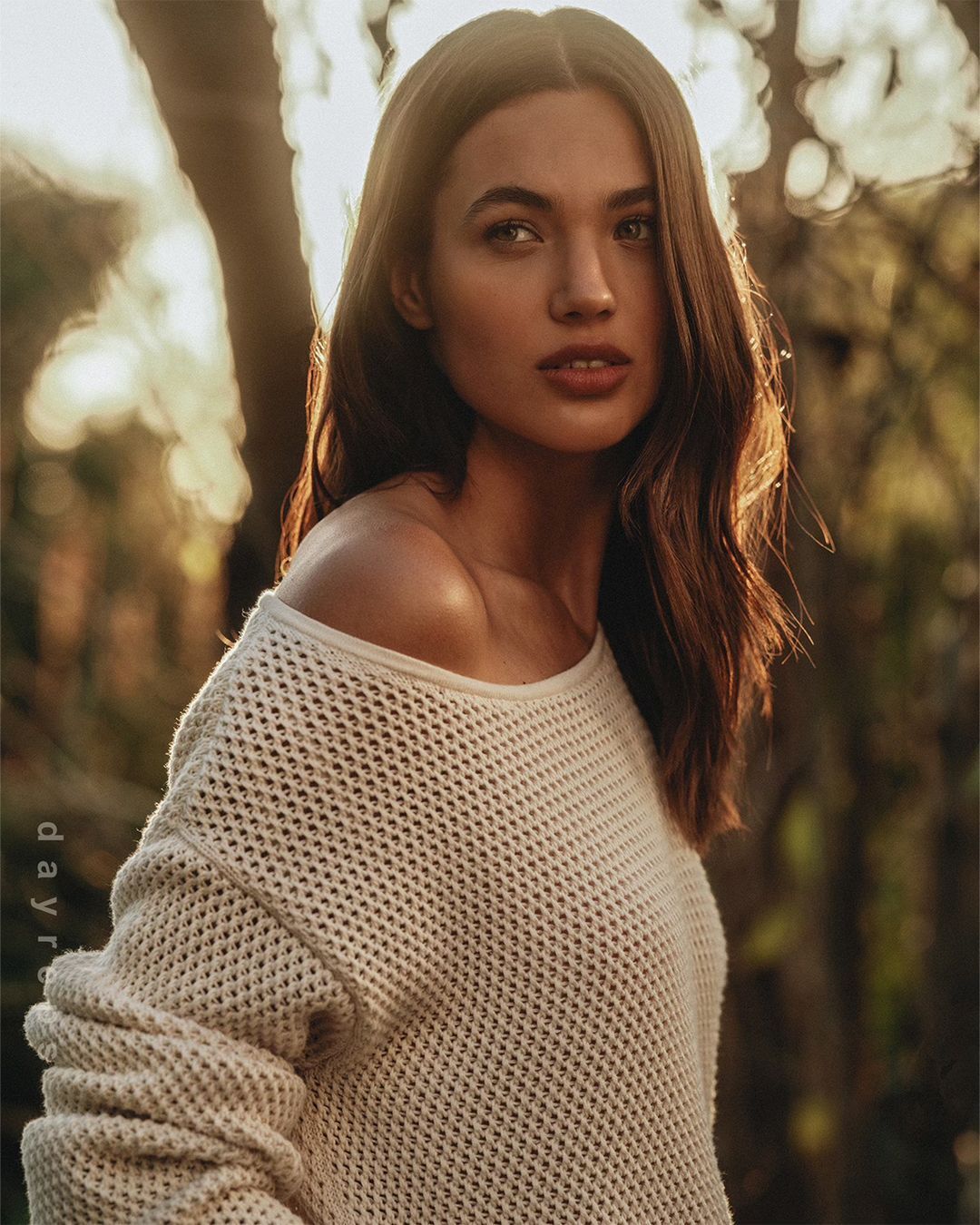 Attractive woman with long brown hair wearing a white sweater, posing outdoors in a forest setting with soft, warm light.